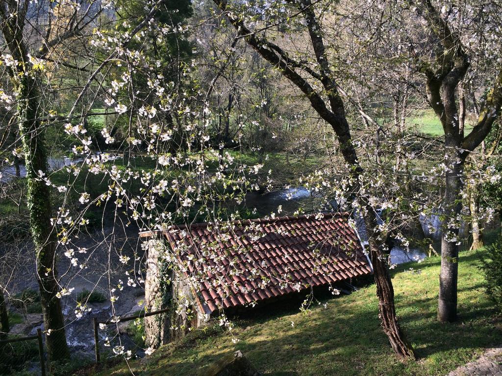Quinta Do Rio Homem Caldelas Zewnętrze zdjęcie