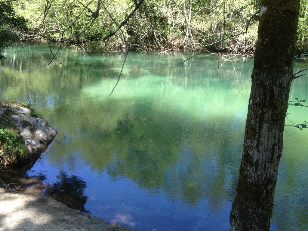 Quinta Do Rio Homem Caldelas Zewnętrze zdjęcie