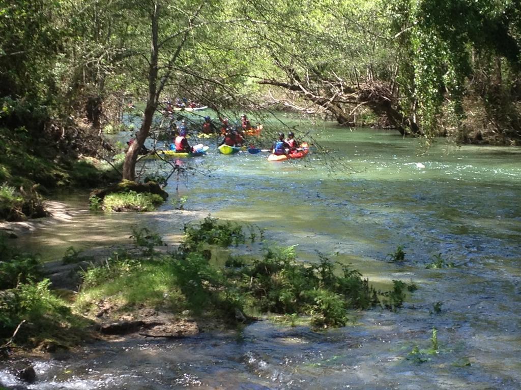 Quinta Do Rio Homem Caldelas Zewnętrze zdjęcie