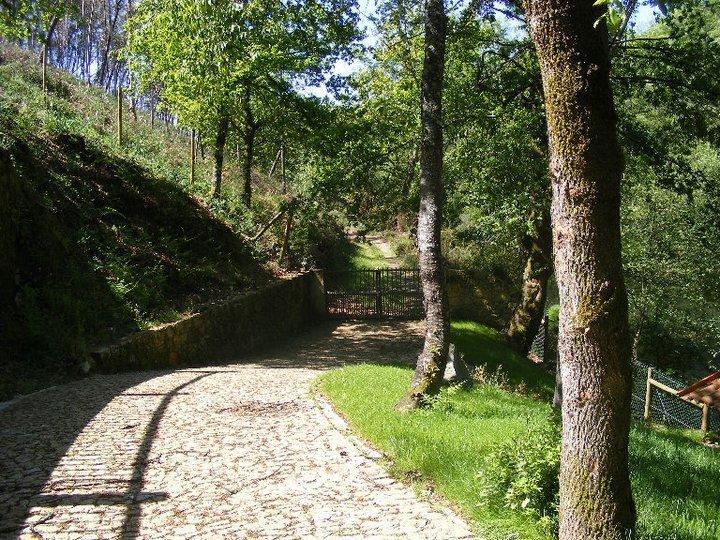 Quinta Do Rio Homem Caldelas Zewnętrze zdjęcie